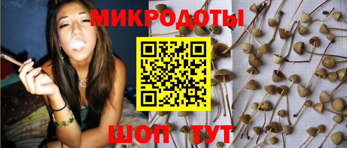 Галлюциногенные грибы мухоморы  Галлюциногенные грибы Cubensis  Подольск  Вход с VPN 