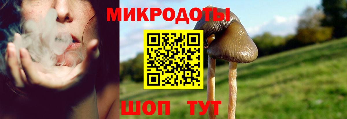 Псилоцибиновые грибы мицелий Подольск
